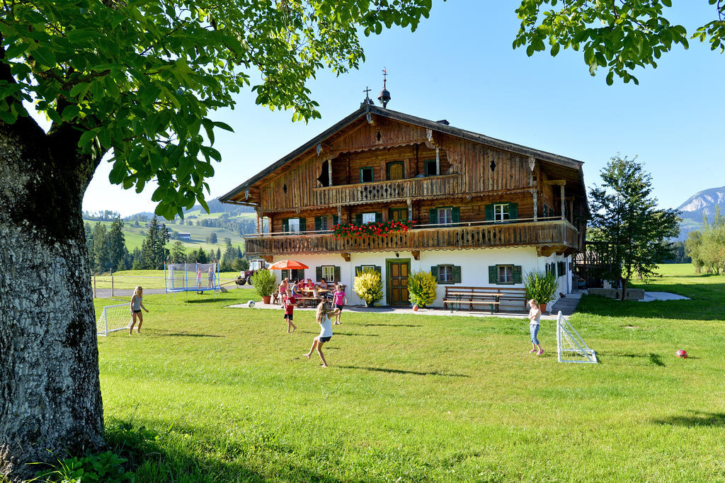Ferienhaus Hinterebenhub Хопфгартен-им-Бриксенталь Экстерьер фото